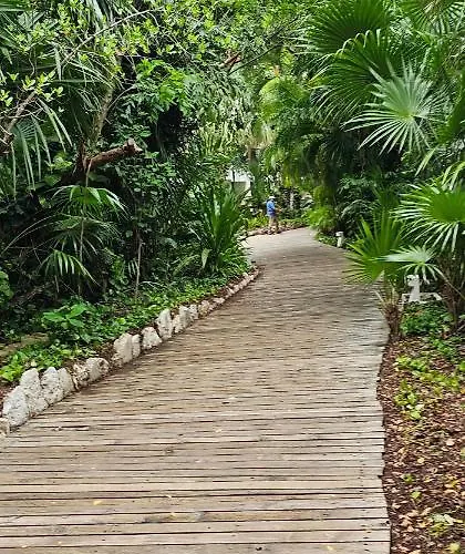 Mayan Palace Resort Puerto Morelos