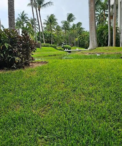 Mayan Palace *