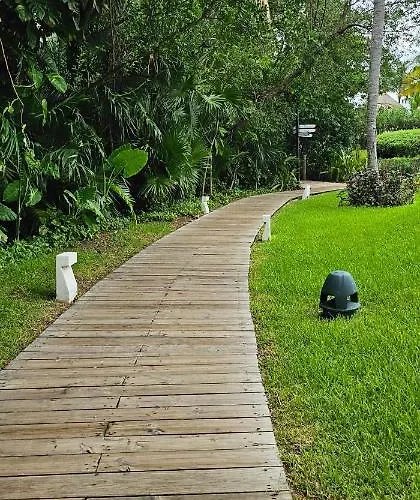 Mayan Palace Resort *